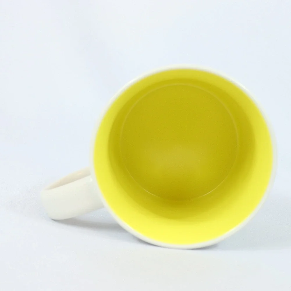 Starbucks Florida 2024 Discovery Series 14oz Ceramic Coffee Mug Cup